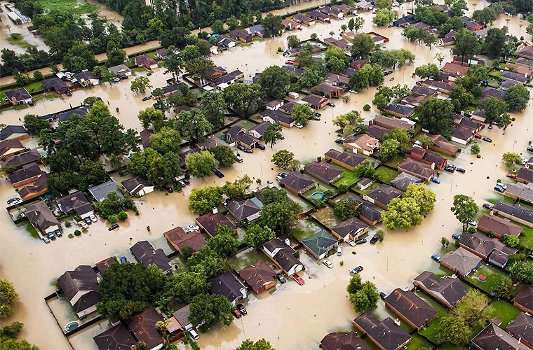 Muere Adulta Mayor por Bacteria en Aguas de Harvey
