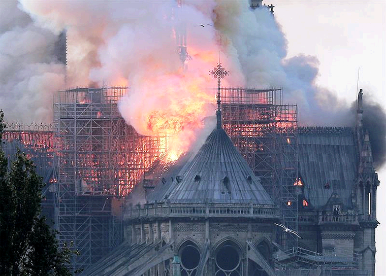 Notre Dame 800 años de Historia Incendiados