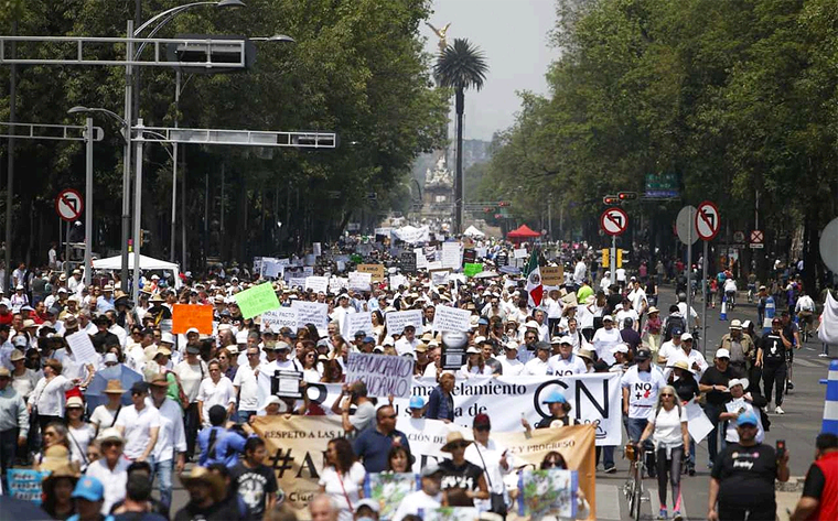 Marchan en Contra del Nuevo Presidente de México