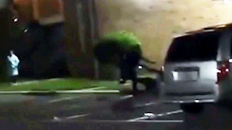 Mujer es Asesinada por la Policía Después de Gritar que Estaba Embarazada