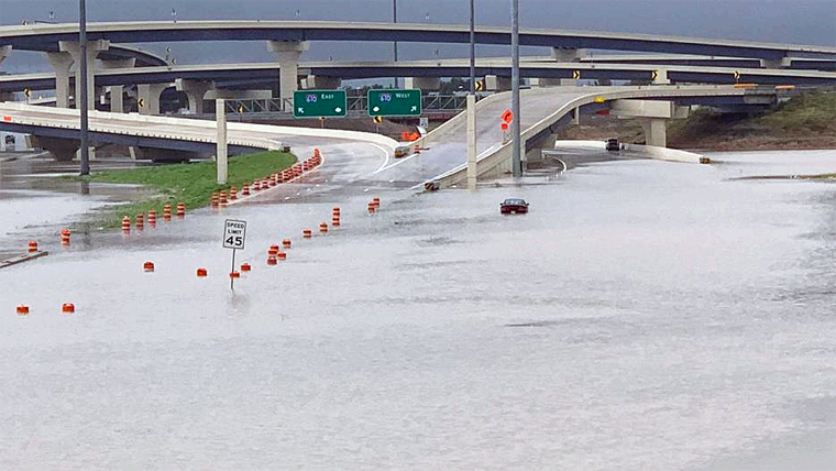 Houston se Hunde