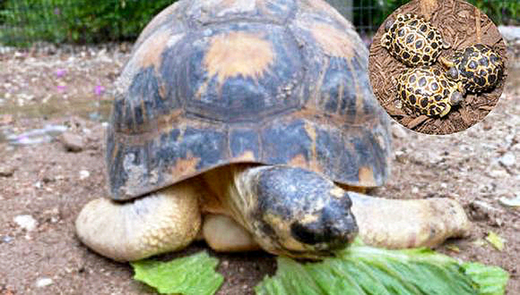 Zoológico Celebra a un Padre de 90 Años