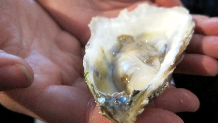 Bacteria Come Carne Mata a Comensal en Galveston
