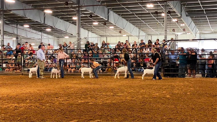 Continúa Fort Bend con su Rodeo